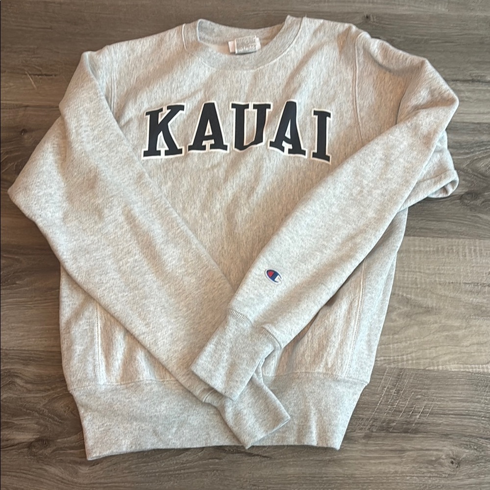 Champion Gray Crewneck Sweatshirt
